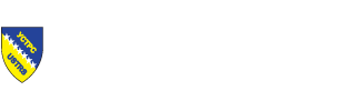 mania-logo